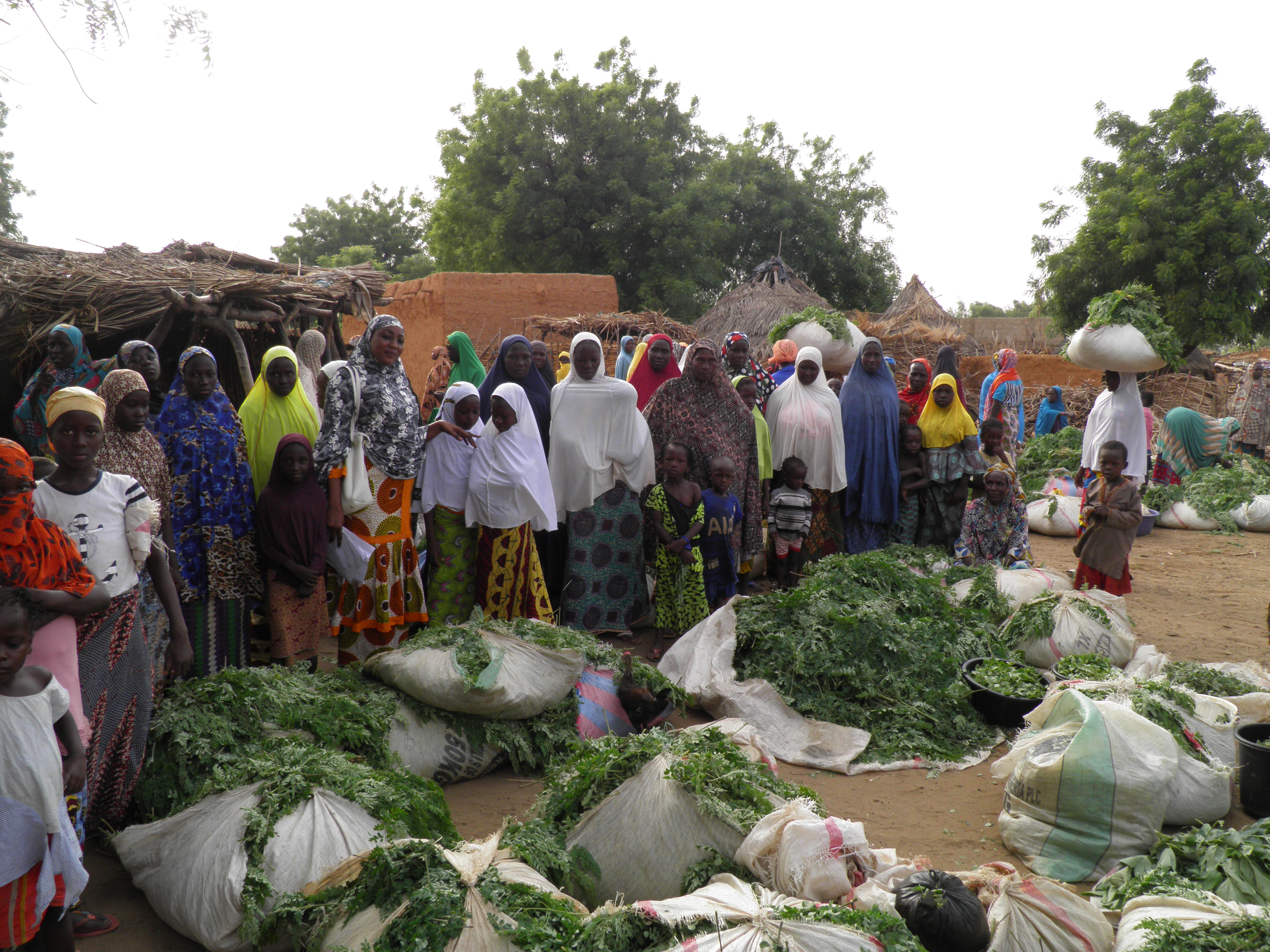 Alimatou et les agriculteurs