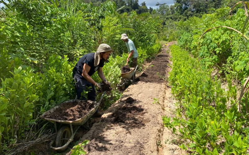 Etudiant en stage de 3ème année travaillant sur la réhabilitation de surfaces dégradées au moyen de l'agroforesterie